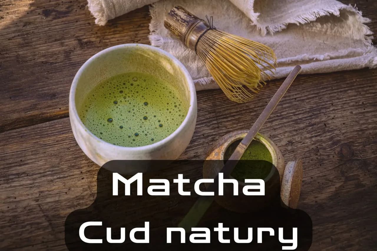Co to jest matcha? Odkryj jej właściwości i korzyści zdrowotne